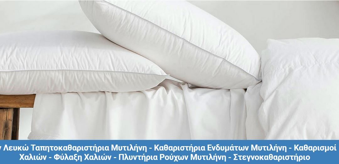 Ε.Σ.ΠΕ.Ε.ΛΕΣ – Προσφορές Μόνο για Μέλη από το καθαριστήριο – ταπητοκαθαριστήριο «Εν Λευκώ»