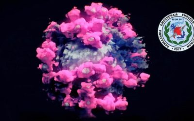 ΠΟΜΕΝΣ Τι συμβαίνει με τις Άδειες Ειδικού Σκοπού.