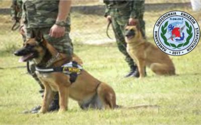 ΠΟΜΕΝΣ:Υπηρεσίες Συνοδών Στρατιωτικά Εκπαιδευομένων Σκύλων (ΣΣΕΣ)