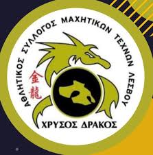 Ε.Σ.ΠΕ.Ε.ΛΕΣΒΟΥ:ΠΡΟΣΦΟΡΑ ΓΙΑ ΤΑ ΜΕΛΗ ΜΑΣ ΑΠΟ Α.Σ ΜΑΧΗΤΙΚΩΝ ΤΕΧΝΩΝ ΛΕΣΒΟΥ ”ΧΡΥΣΟΣ ΔΡΑΚΟΣ”